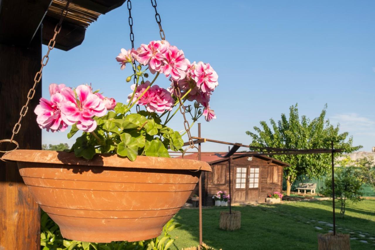 A Lu Fanizza Bed & Breakfast Cutrofiano Bagian luar foto