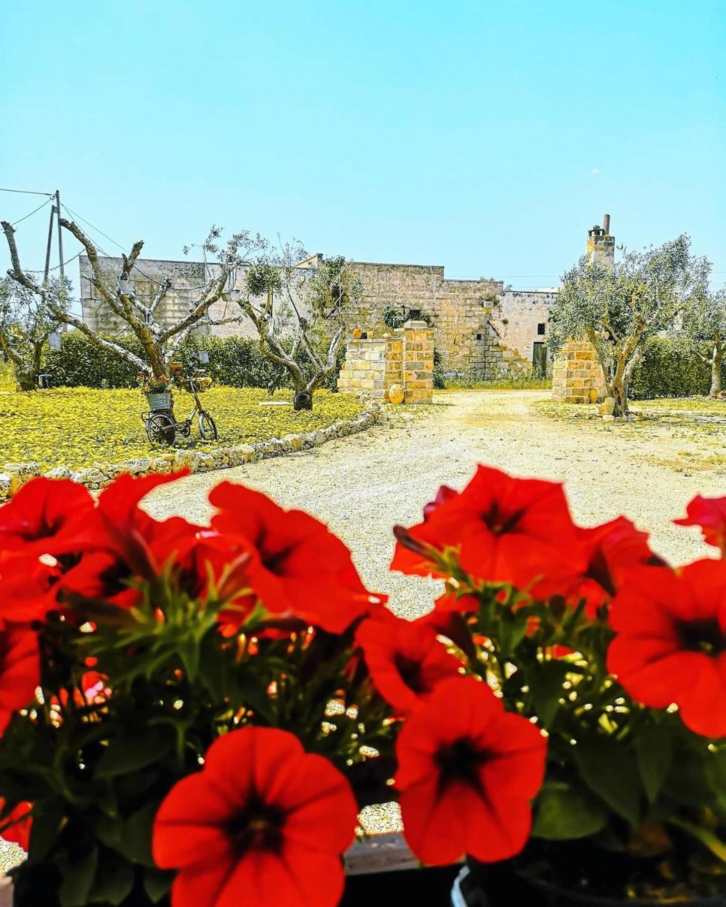 A Lu Fanizza Bed & Breakfast Cutrofiano Bagian luar foto